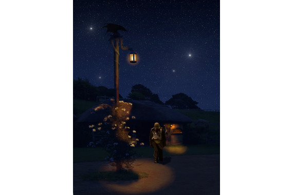 <p>3rd - B Grade: Open Digital - Midnight Stroll <small>© Tony Arceri</small></p>
