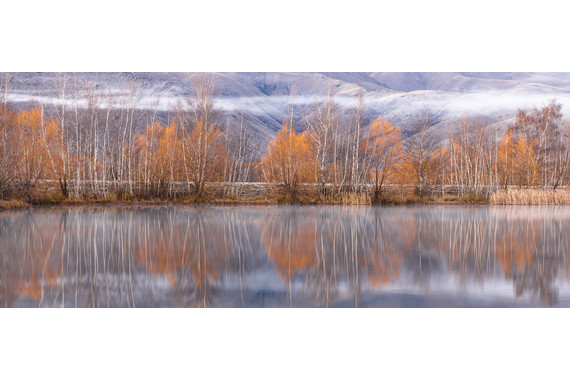 <p>1st - B Grade: Open Digital - Morning Reflections <small>© Allan Williams</small></p>
