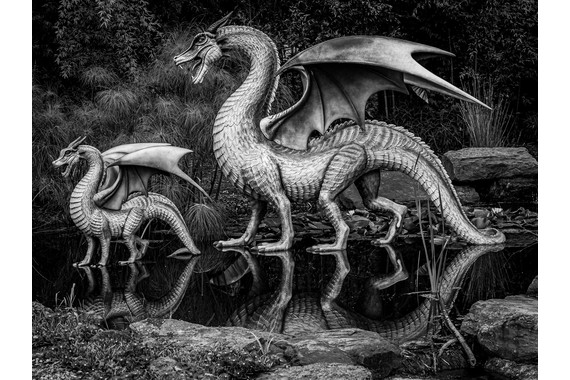 <p>HC - B Grade: Set Digital - Mystical Dragons <small>© Darryl Martin</small></p>
