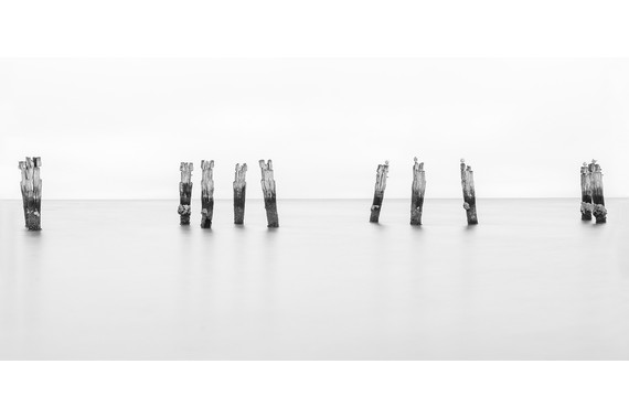 <p>HC - A Grade: Set Digital - Stix <small>© Tracey Noonan</small></p>
