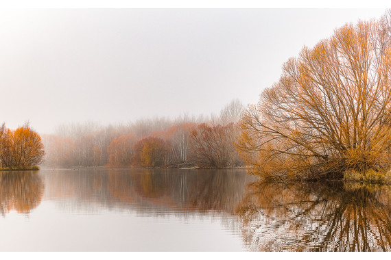 <p>2nd - A Grade: Open Print - Mist on the Ponds <small>© Ian Street</small></p>
